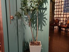 -南堂馆·新川菜(春熙路店)