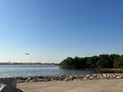 -宝安西湾红树林湿地公园