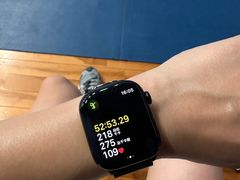 -东坡羽毛球馆(东坡南一路店)