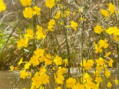 -禾记花园涮肉餐厅