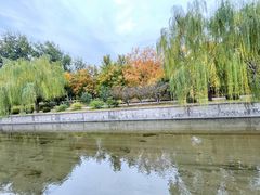 -元大都城垣遗址公园