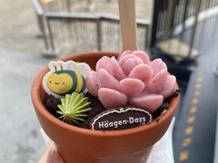 -哈根达斯(滨江店)