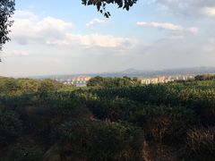 -南京市江宁方山