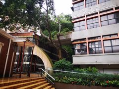 -香港大学