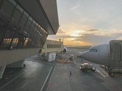 -翡翠拉面小笼包(机场DFS店)