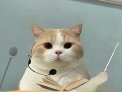 -肥福排档(星光店)
