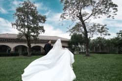 点击看大图 -经典婚纱摄影美学馆·私人定制