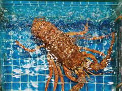 -江杨农产品批发市场