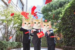 -格乐利雅婚礼艺术中心(南外滩店)