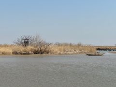 -盐城丹顶鹤湿地生态旅游区