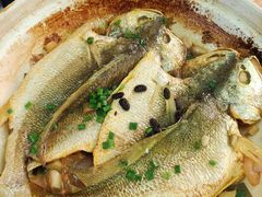 生焗黄花鱼-砂唐居(总店)
