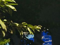 -万绿园