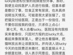 -伟伟宠物医院·CT影像中心·瑞派犬猫综合性门诊(汉口总院)