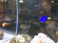 -喵园·猫主题咖啡厅·撸猫·猫咖(国贸店)