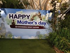 -清迈夜间动物园