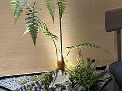 -桂小厨广西菜(水晶城店)