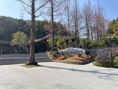 -东明山森林公园