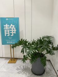 -奥本瑜伽·普拉提