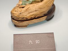 -安徽省地质博物馆