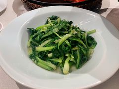 清炒鸡毛菜-徽珍源(龙茗路店)