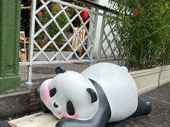 -轩客会(熊猫书店)