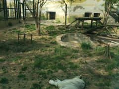 -天津市动物园