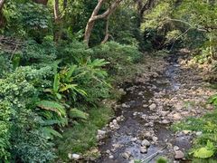 -福清灵石山国家森林公园