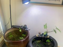 -悦享采耳·洗头头疗·推拿SPA(海沧万科旗舰店)