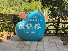 -西双版纳原始森林公园