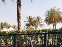-太兴餐厅(小径湾店)