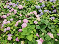 -苏州河梦清园环保主题公园