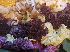 -手选潮汕鲜牛肉火锅(二七广场店)