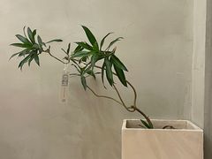 景观位-小团圆糖水铺(襄阳南路店)