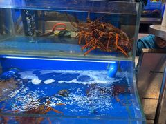 -新海渔港·胶东海鲜家常菜·家宴(奥体中心店)