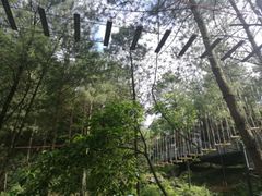 -梦幻奥陶纪景区