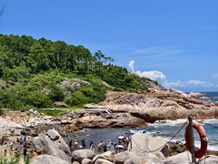 -广东惠东海龟国家级自然保护区