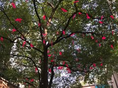 -王德传茶庄(上海新天地店)