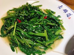 -老雒阳面馆·水席(高新区店)