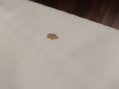 -丽市酒店(苏州平江观前街店)