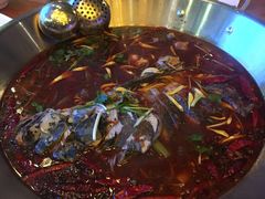 -红牌美蛙鱼头火锅(万辉国际广场店)