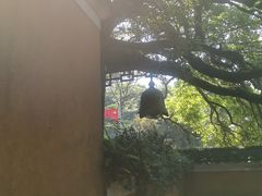 -普陀山风景区-佛顶山