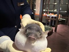 -肆月河豚·淮扬菜·湘菜(华天店)