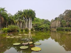 -中国科学院西双版纳热带植物园