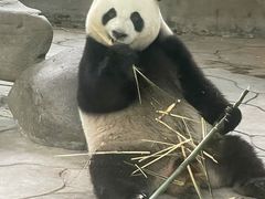 -宁波野生动物园