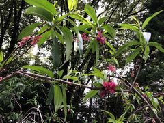 -上海市龙华烈士陵园