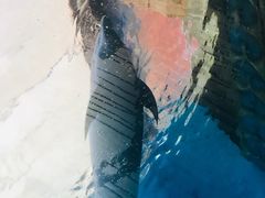 -波塞冬旅游度假区