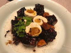 -子福慧(虹桥店)