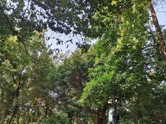 -广州市白云山风景名胜区
