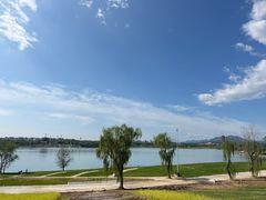 -永定河休闲森林公园