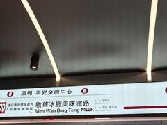 -敏华冰厅(平安金融中心店)